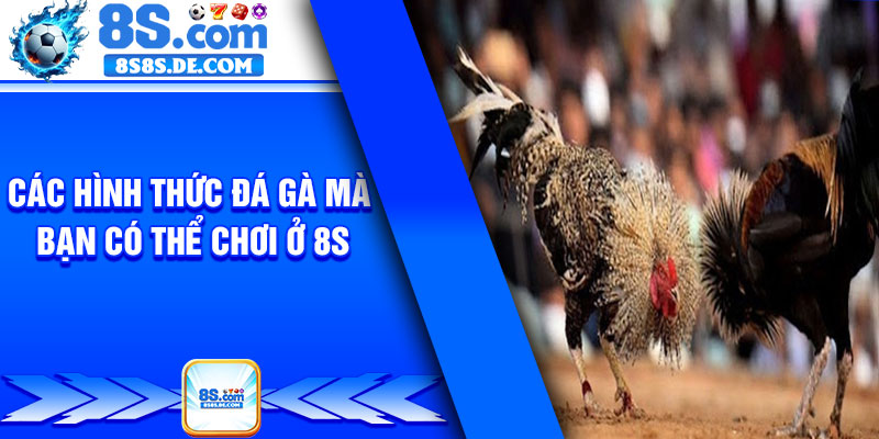 Các hình thức đá gà mà bạn có thể chơi ở 8s