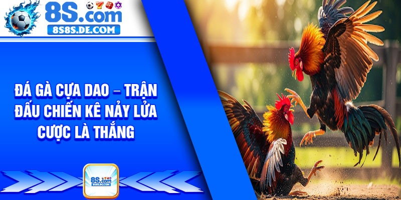 Da Ga Cua Dao – Tran Dau Chien Ke Nay Lua Cuoc La Thang