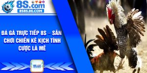 Da Ga Truc Tiep 8s – San Choi Chien Ke Kich Tinh Cuoc La Me