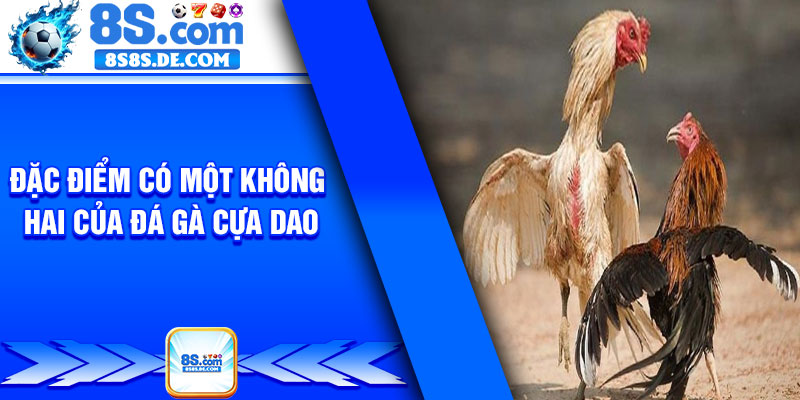 Đặc điểm có một không hai của đá gà cựa dao