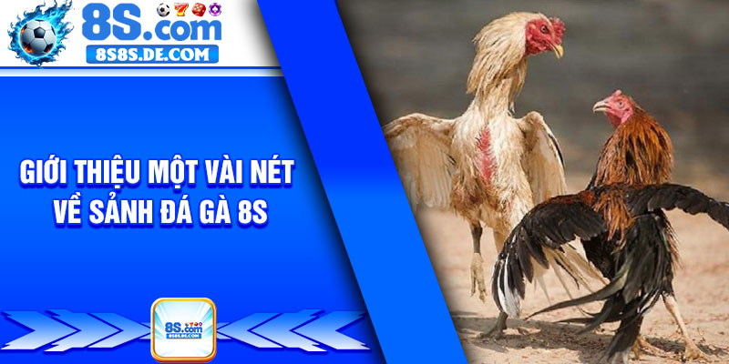 Giới thiệu một vài nét về sảnh đá gà 8s