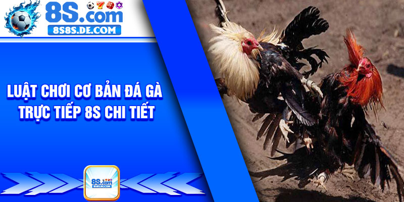 Luật chơi cơ bản đá gà trực tiếp 8s chi tiết