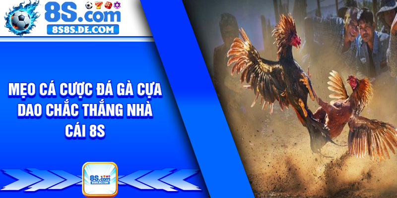 Mẹo cá cược đá gà cựa dao chắc thắng nhà cái 8s