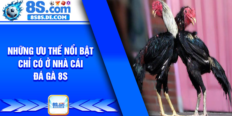 Những ưu thế nổi bật chỉ có ở nhà cái đá gà 8s