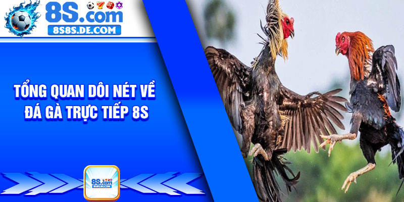Tổng quan dôi nét về đá gà trực tiếp 8s