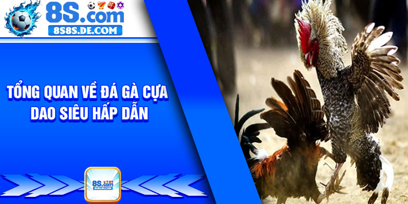Tổng quan về đá gà cựa dao siêu hấp dẫn